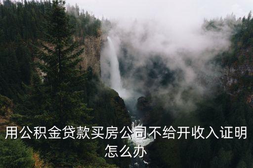 用公積金貸款買房公司不給開收入證明怎么辦