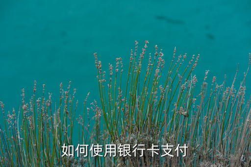 行用卡軟件怎么支付，信用卡怎樣在手機(jī)上支出