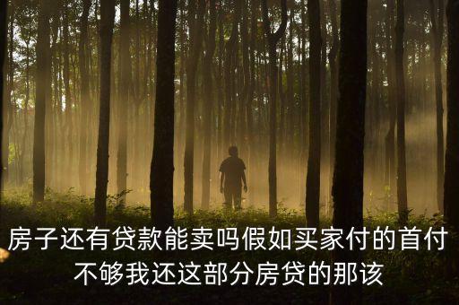 房子還有貸款能賣嗎假如買家付的首付不夠我還這部分房貸的那該