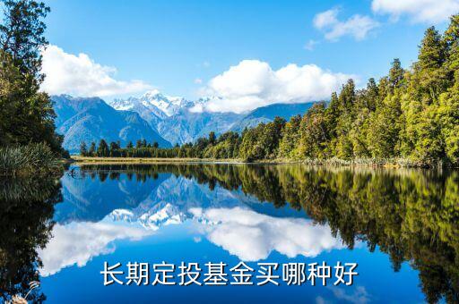 基金長(zhǎng)期定投怎么選，長(zhǎng)期定投買什么基金好