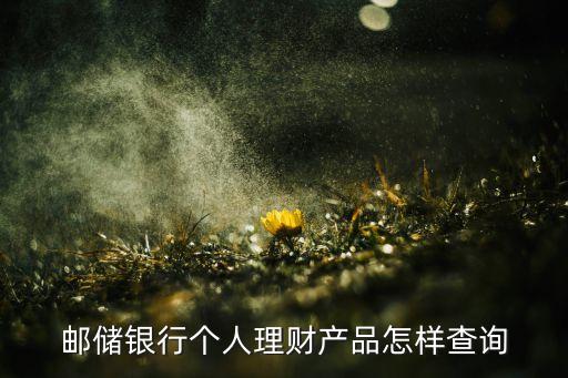 郵儲銀行個(gè)人理財(cái)產(chǎn)品怎樣查詢