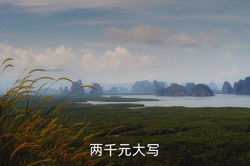 兩千元大寫