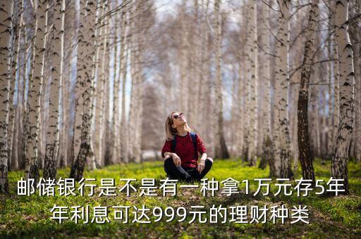 郵儲(chǔ)銀行是不是有一種拿1萬(wàn)元存5年年利息可達(dá)999元的理財(cái)種類(lèi)