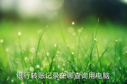 銀行轉(zhuǎn)賬記錄在哪查詢用電腦