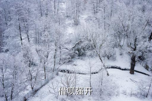 螞蟻借唄1月19怎么搶，借唄強(qiáng)開(kāi)