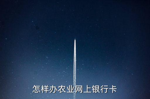 怎樣辦農(nóng)業(yè)網(wǎng)上銀行卡