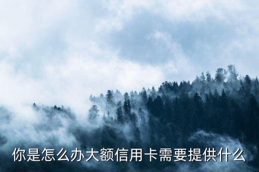 農商銀行大額信用卡怎么辦理，你好農商銀行的信用卡辦理都要什么證件呢