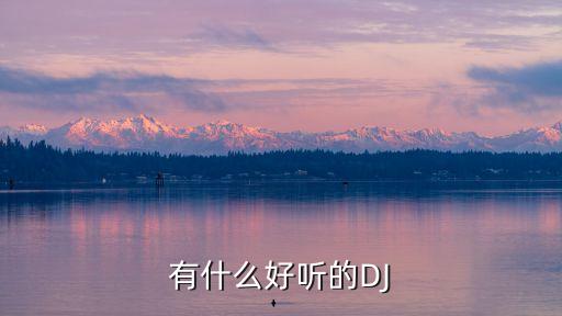有什么好聽的DJ