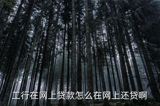 工行在網(wǎng)上貸款怎么在網(wǎng)上還貸啊