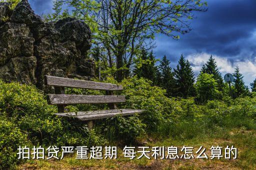 拍拍貸還款逾期利息怎么算利息怎么算，拍拍貸嚴(yán)重超期 每天利息怎么算的