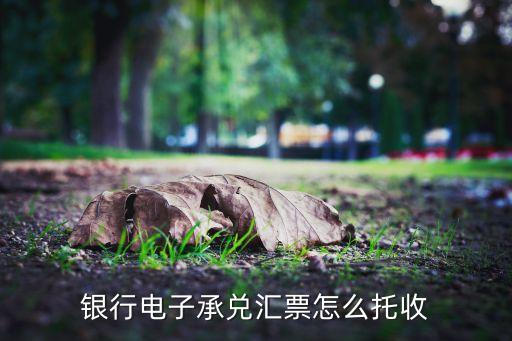 電子匯票怎么托收，電子銀行承兌匯票如何托收辦理需要帶什么資料