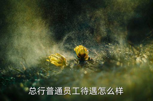 總行普通員工待遇怎么樣