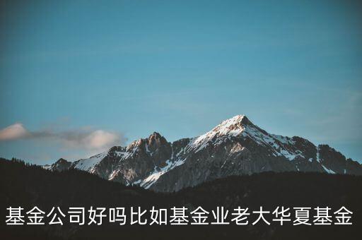 基金公司好嗎比如基金業(yè)老大華夏基金