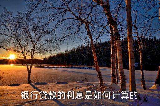 銀行商貸利息怎么收取，銀行貸款利息是怎么算的