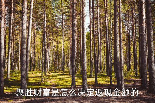 聚勝財(cái)富是怎么決定返現(xiàn)金額的