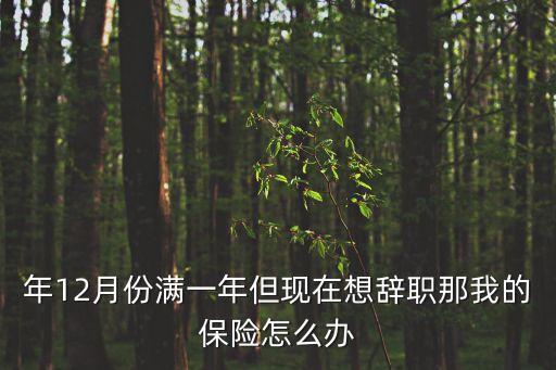 年12月份滿一年但現(xiàn)在想辭職那我的保險(xiǎn)怎么辦