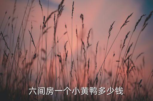 六間房一個(gè)小黃鴨多少錢