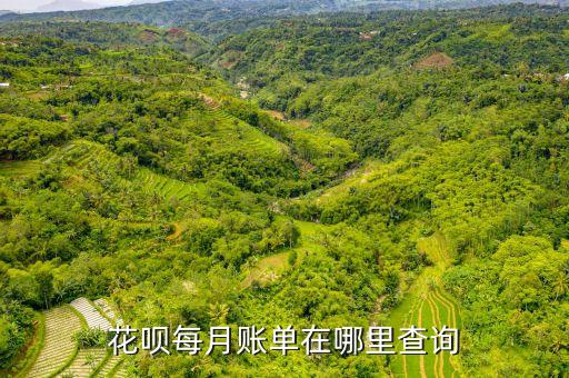 花唄每月賬單在哪里查詢