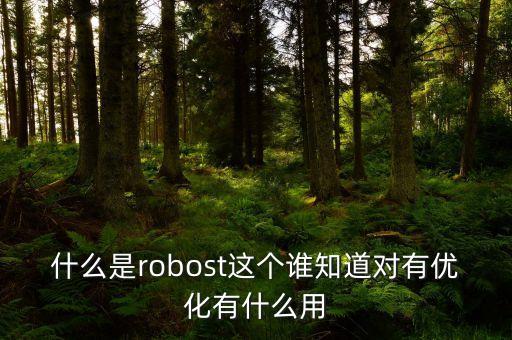 什么是robost這個(gè)誰(shuí)知道對(duì)有優(yōu)化有什么用