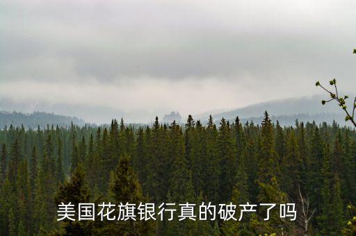 美國花旗銀行真的破產(chǎn)了嗎