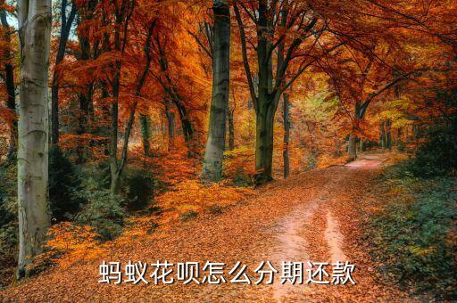 螞蟻花唄怎么分期還款