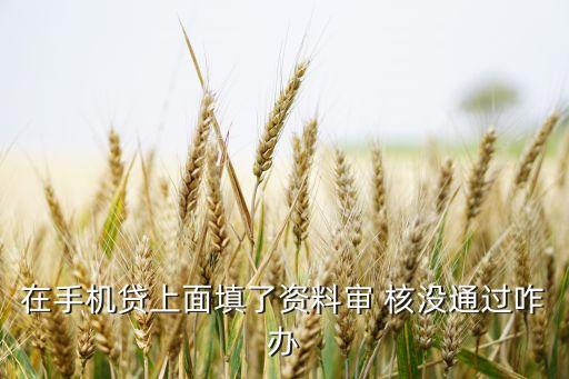 手機(jī)貸 實(shí)名未通過(guò)怎么辦理，我在手機(jī)貸借款申請(qǐng)資料沒(méi)有通過(guò)是怎么回事
