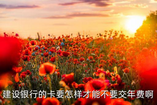 怎么取消建行卡的年費(fèi)，建設(shè)銀行的卡要怎樣才能不要交年費(fèi)啊