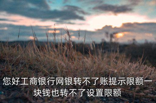 您好工商銀行網(wǎng)銀轉(zhuǎn)不了賬提示限額一塊錢也轉(zhuǎn)不了設(shè)置限額