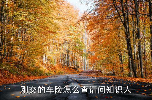 汽車保險(xiǎn)怎么查詢保單，剛交的車險(xiǎn)怎么查請(qǐng)問(wèn)知識(shí)人