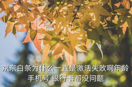 激活白條怎么老是失敗怎么辦，為什么開通京東白條第二步總是顯示失敗一次你還有一次機會  搜