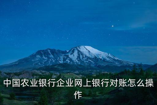 中國(guó)農(nóng)業(yè)銀行企業(yè)網(wǎng)上銀行對(duì)賬怎么操作