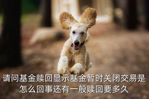 請問基金贖回顯示基金暫時(shí)關(guān)閉交易是怎么回事還有一般贖回要多久