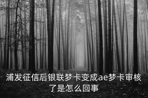 浦發(fā)ae怎么看是否降級，浦發(fā)AE夢卡和銀聯(lián)夢卡白金卡都是多少額度的