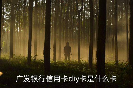 廣發(fā)銀行信用卡diy卡是什么卡