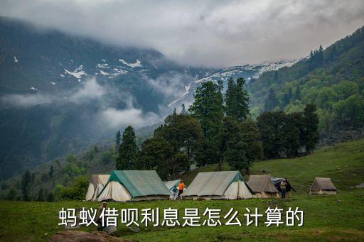 借唄一次性利息怎么算，借唄利息怎么算高不高啊