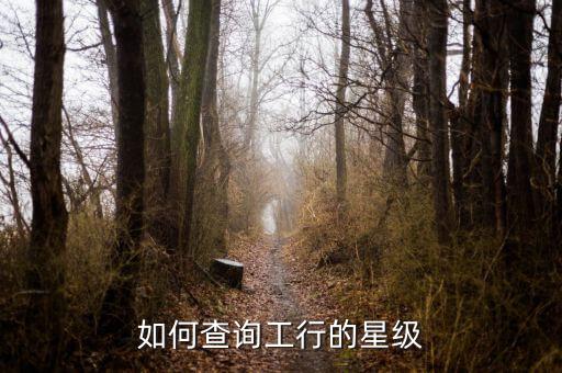 如何查詢工行的星級(jí)