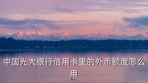 光大銀行怎么還外幣，光大VISA信用卡消費(fèi)港幣怎么還款有格外費(fèi)用嗎