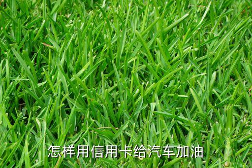 怎樣用信用卡給汽車加油