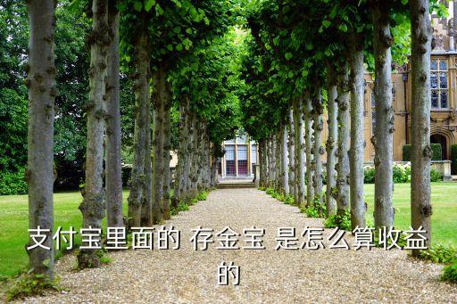 存金寶盈利怎么算，支付寶里面的 存金寶 是怎么算收益的