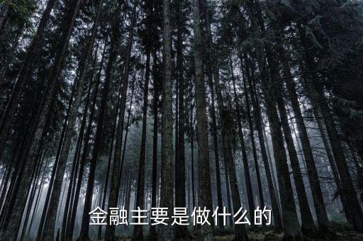 金融怎么做的，金融主要是做什么的
