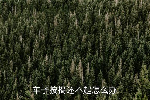 按揭車貸款還不上怎么辦，車子按揭還不起怎么辦
