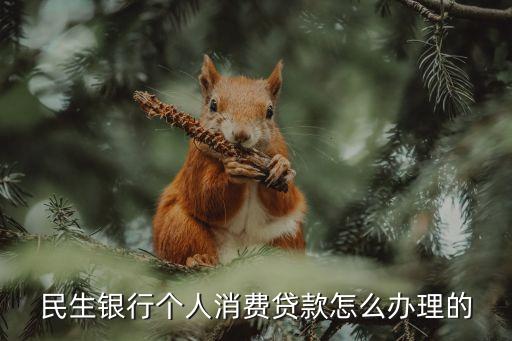 民生銀行個(gè)人消費(fèi)貸款怎么辦理的