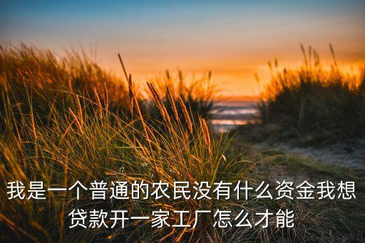 我是一個(gè)普通的農(nóng)民沒有什么資金我想貸款開一家工廠怎么才能