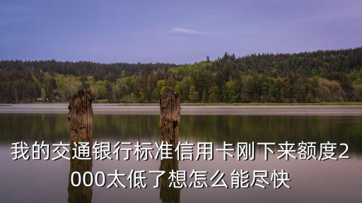 信用卡額度兩千怎么辦，額度兩千怎么提額度工商銀行的信用卡