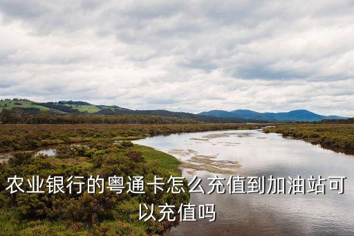農(nóng)業(yè)銀行的粵通卡怎么充值到加油站可以充值嗎
