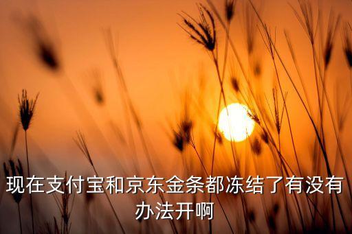 金條被風(fēng)控了怎么辦，京東金條被止付了如何解凍