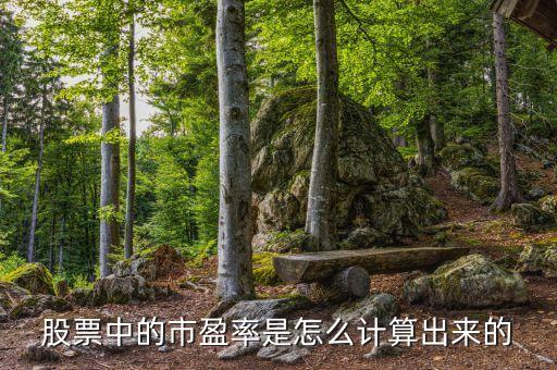 炒股怎么算市盈率，股票市盈率如何計算