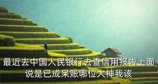 征信呆帳怎么消除，最近去中國人民銀行去查信用報告上面說是已成呆賬哪位大神我該