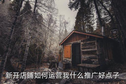 新開(kāi)店鋪如何運(yùn)營(yíng)我什么推廣好點(diǎn)子