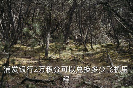 浦發(fā)銀行里程值怎么算，浦發(fā)銀行2萬積分可以兌換多少飛機(jī)里程